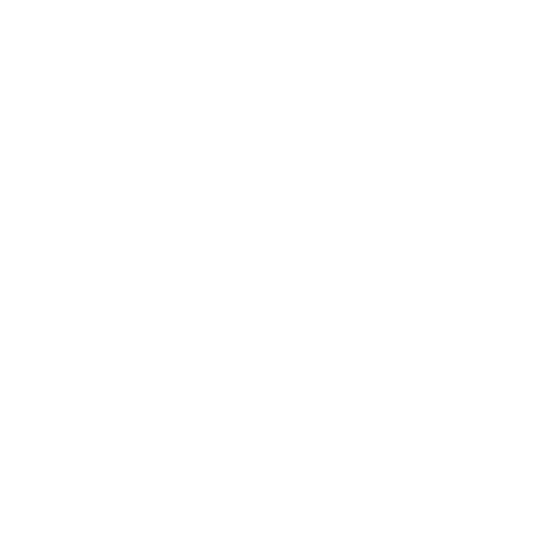 Shiny Guild